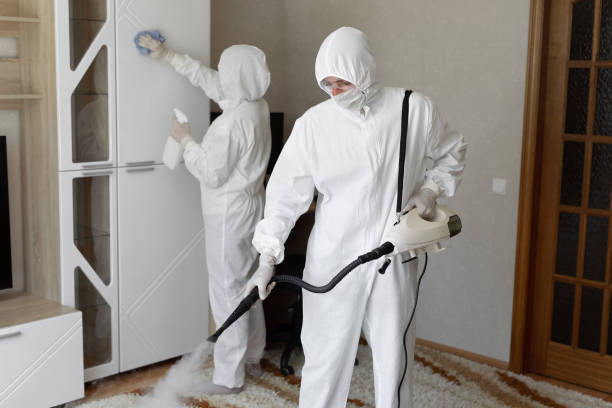 Best Post-Flood Mold Remediation in Rushvle, IL