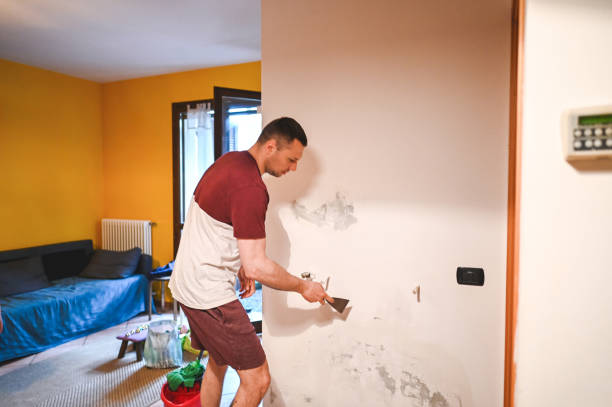 Best Kitchen Mold Remediation in Rushvle, IL